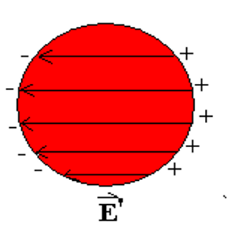 image-20251022111156861 image-20251022111156861