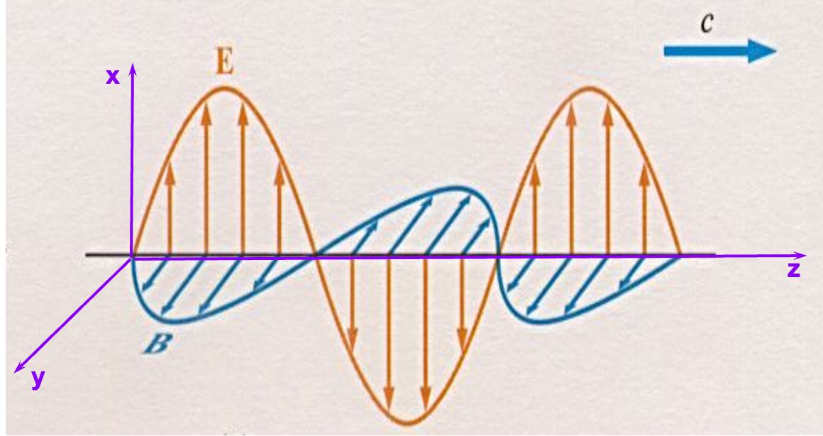 image-20251126105216344