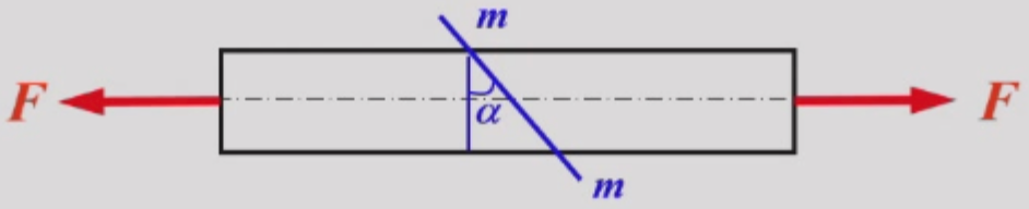 image-20260316081801892