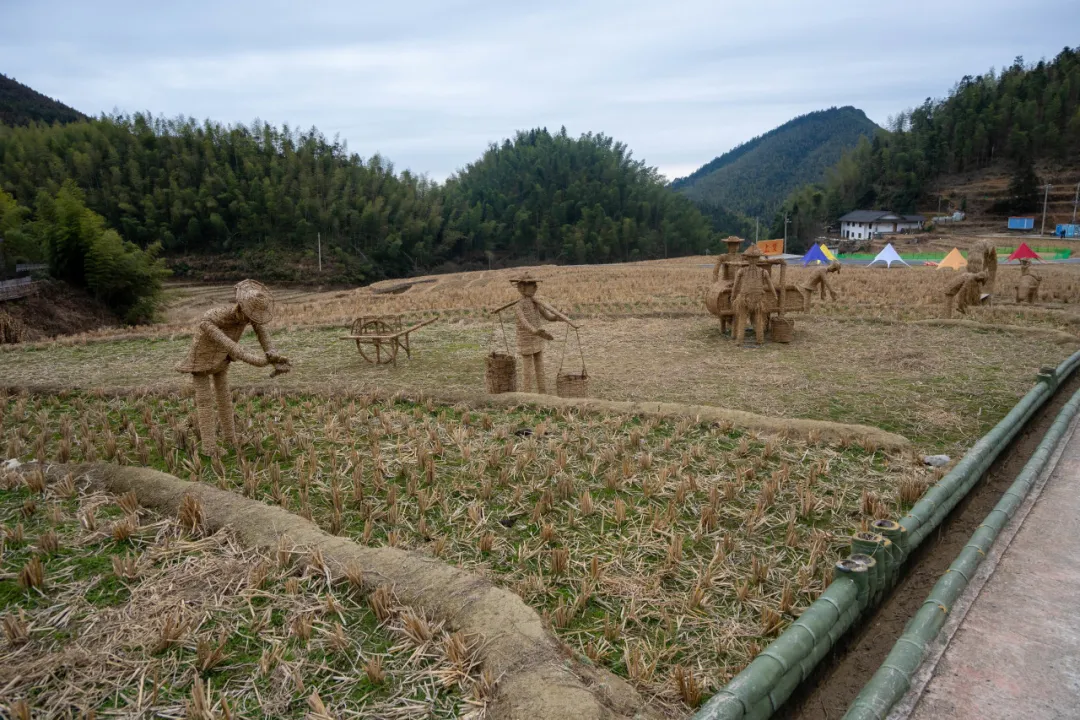 竺梦力行队江西崇义社会实践：将帅遗风红土千秋耀，梯田叠韵青山万卷诗